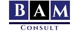 BAM Consult